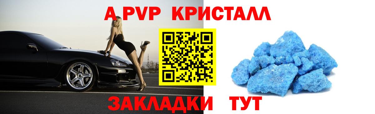 Альфа ПВП СК Санкт-Петербург