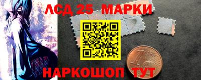 ПСИЛОЦИБИНОВЫЕ ГРИБЫ Новозыбков