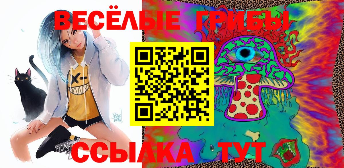 Санкт-Петербург  Галлюциногенные грибы GOLDEN TEACHER  Вход с VPN  Псилоцибиновые грибы Cubensis 